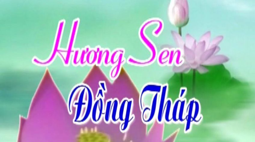 Hương Sen Đồng Tháp - 18/01/2019