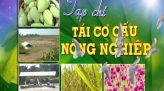 Ẩm thực đất sen hồng - 30/6/2019: Cá tra phi lê sốt quýt Lai Vung