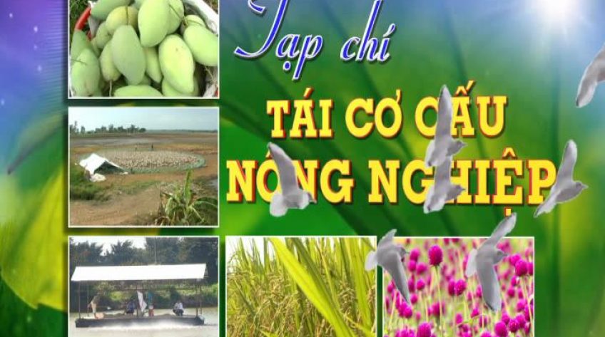 Tạp chí tái cơ cấu nông nghiệp - 21/04/2019