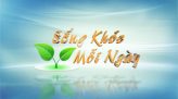 Sống khỏe mỗi ngày - 09/6/2019: Viêm ruột thừa