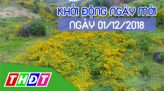 Sức khỏe khỏe sinh sản (01/12/2018): Chăm sóc sơ sinh thiết yếu