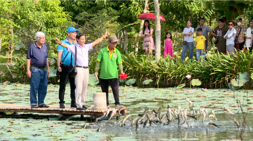 Theo chân du khách trải nghiệm farmtrip dịp Festival