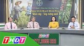 Tư vấn pháp luật - 22/10/2019: Pháp luật về thừa kế