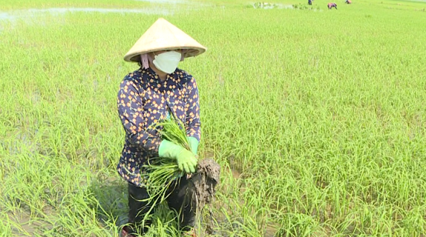 Vượt dốc - 05/11/2021: Gia đình chị Nguyễn Ngọc Hân (H.Tháp Mười)