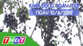 Khởi động ngày mới - Thứ Năm, 11/4/2019