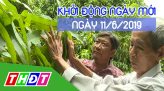 Nhịp sống thể thao - 12/6/2019