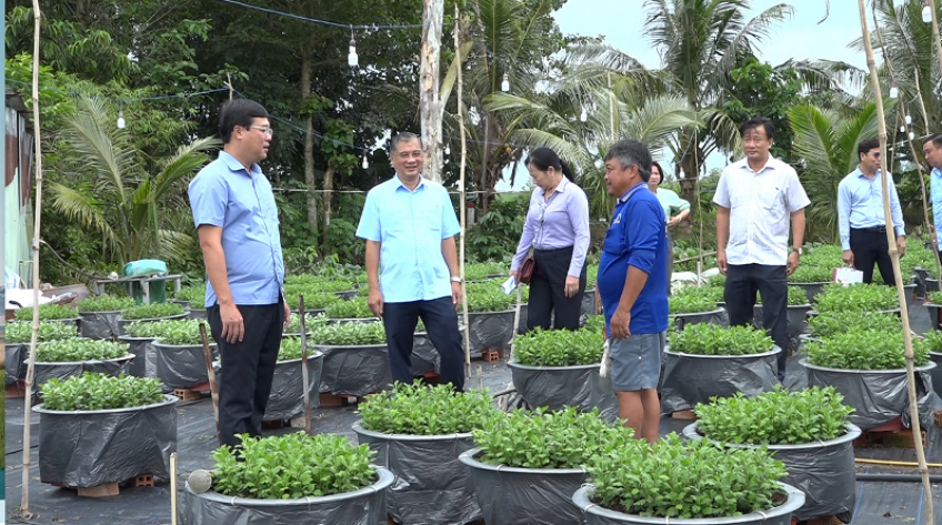 Bí thư Tỉnh ủy thăm nông dân làng hoa Sa Đéc