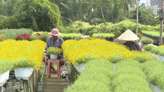 TP.Sa Đéc: Tập trung chuẩn bị đại hội đảng bộ các cấp, nhiệm kỳ 2025 - 20230