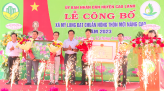 Bữa ăn an toàn từ vườn rau học đường