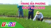 Trang địa phương - Thứ năm, 21/5/2020  - Huyện Tam Nông