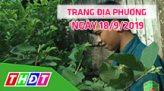 Tư vấn pháp luật - 17/9/2019 - Chung tay phát triển BHYT học sinh, sinh viên