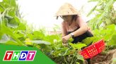 Thắp sáng ước mơ - 26/02/2021: Phan Văn Ngọc Em