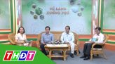 Tư vấn pháp luật - 26/5/2020 - Pháp luật về thi hành án hình sự