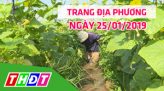 Sống khỏe mỗi ngày (25/01/2019): Chọn và bảo quản bánh mứt Tết