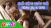 Thời sự tối - Thứ Năm, 25/4/2019