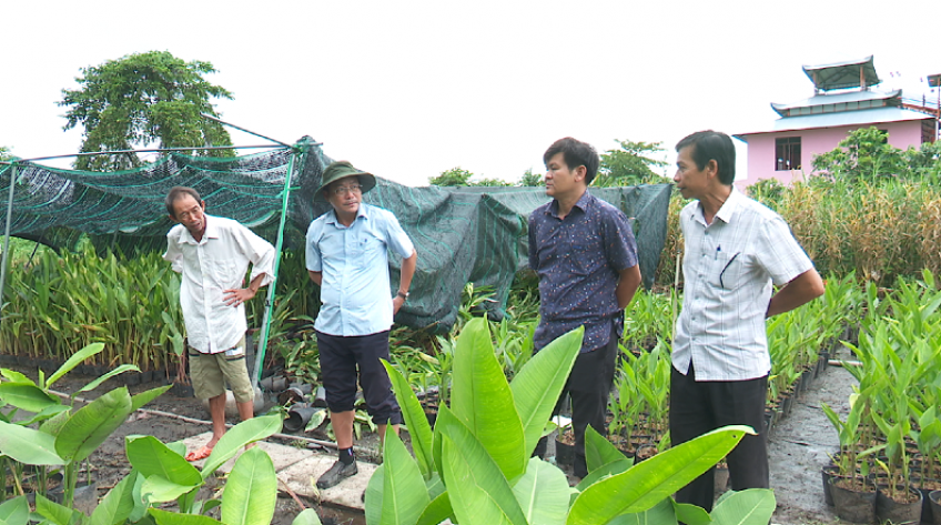 Khảo sát, khắc phục nguy cơ gây ngập hoa kiểng ở TP.Sa Đéc