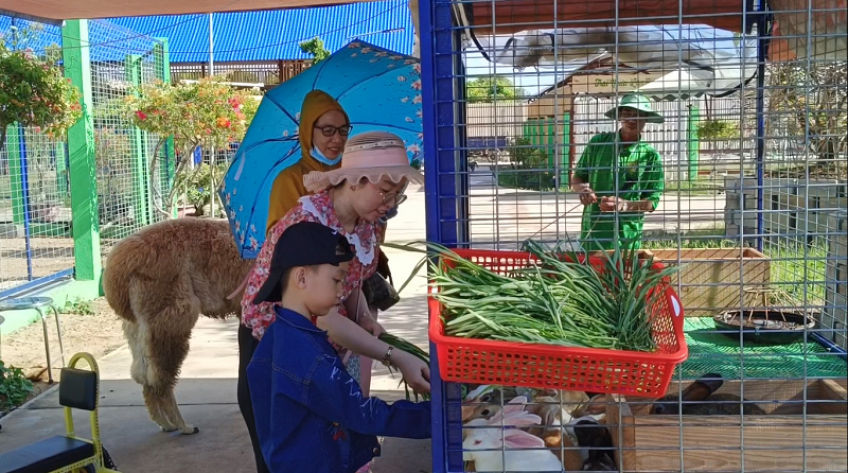 Điểm du lịch sinh thái có hơn 30 loài thú nuôi ở Sa Đéc hút khách