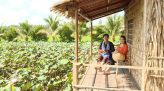 Tạp chí Du lịch xanh - 25/7/2020: Trải nghiệm tại Farmstay Ao Nhà