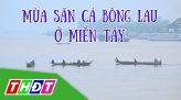 Xử lý khi bị chó, mèo cắn