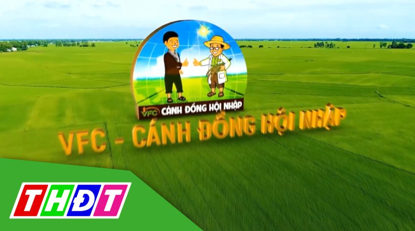 Cánh đồng hội nhập - 15/5/2022: VIRTACO - Bí quyết diệt sâu đục thân