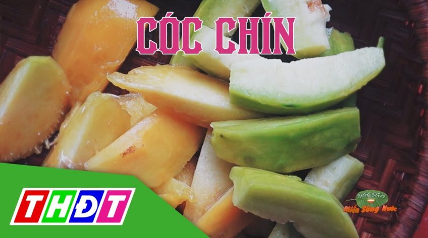 Ngất ngây món ăn từ Cóc chín miền Tây - Đặc sản miền sông nước