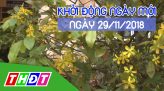 Vì an ninh Tổ Quốc - 28/11/2018