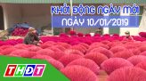 Thời sự tối – Thứ Năm, 10/01/2019