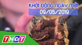 Nhịp sống thể thao - 10/5/2019