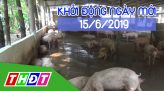 Nhịp sống thể thao - 14/6/2019