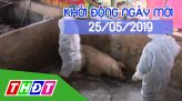 Nhịp sống thể thao - 24/5/2019