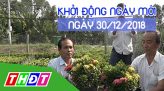 Nhịp sống thể thao - 01/01/2019