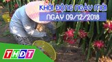 Toàn cảnh nông nghiệp - 09/12/2018