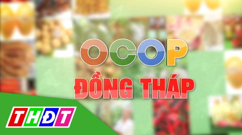 OCOP Đồng Tháp - 04/8/2019