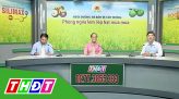 Tư vấn khuyến nông - 14/7/2019: Giúp lúa cứng cây, đầy hạt