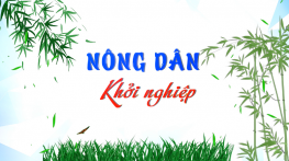 Nông dân khởi nghiệp - 15/9/2024: Nuôi vịt sạch từ chế phẩm IMO