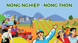 Nông nghiệp - nông thôn – 18/9/2024