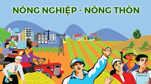 Bản tin nông nghiệp – 23/10/2024