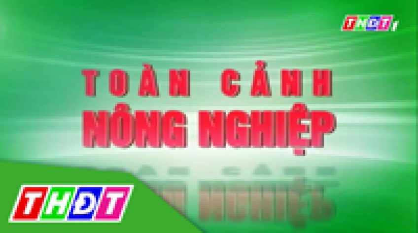 Toàn cảnh nông nghiệp - 20/7/2019