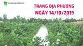 Toàn cảnh nông nghiệp - 15/10/2019