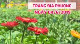 Toàn cảnh nông nghiệp - 04/6/2019