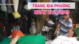 Tạp chí thể thao - 29/9/2019