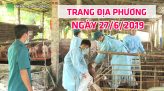 Truyền hình Đồng Tháp kết nối - 28/6/2019