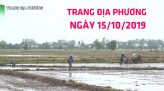 Toàn cảnh nông nghiệp - 15/10/2019