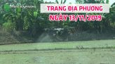 Trang tin địa phương - 15/11/2019 - Huyện Thanh Bình