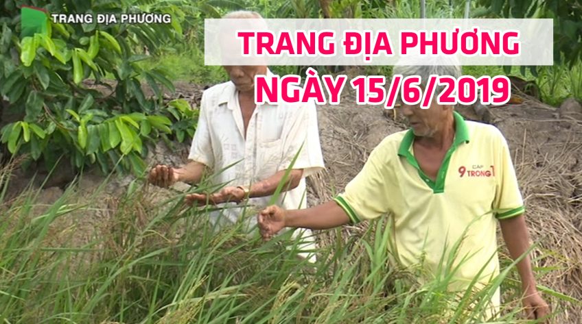 Trang tin địa phương - Thứ Bảy, 15/6/2019 - Huyện Tân Hồng