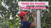 Toàn cảnh nông nghiệp - 28/5/2019