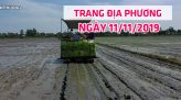 Toàn cảnh nông nghiệp - 13/11/2019