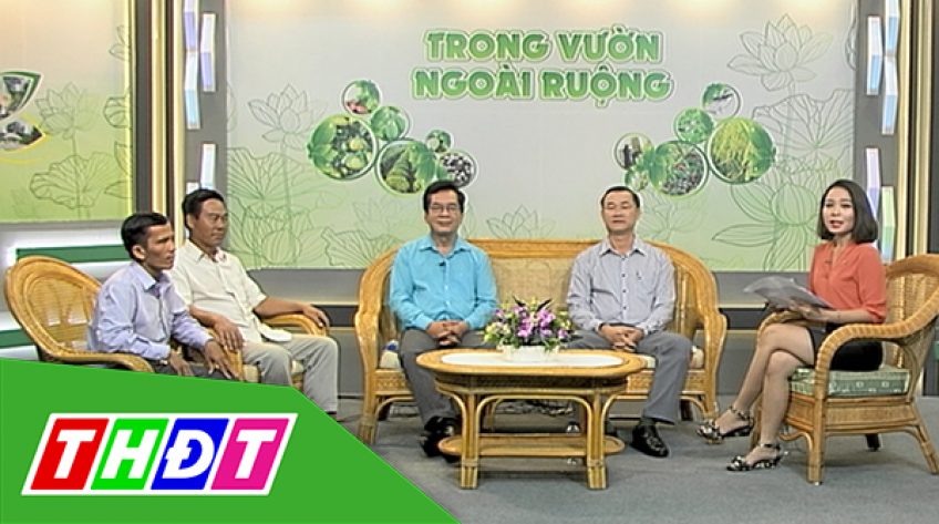 Trong vườn ngoài ruộng - 07/6/2019 - Sinh kế mới thay cho lúa 3 vụ