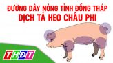 Cứu sống bệnh nhân bằng ca phẫu thuật kép