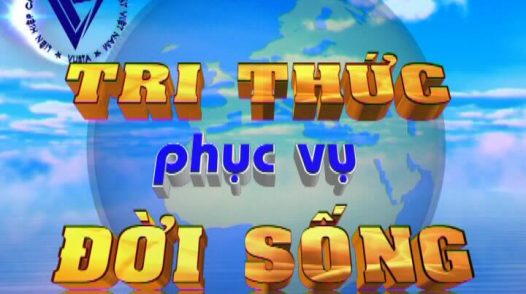 Tri thức phục vụ đời sống - 11/10/2024: Đồng Tháp đẩy mạnh chuyển đổi số